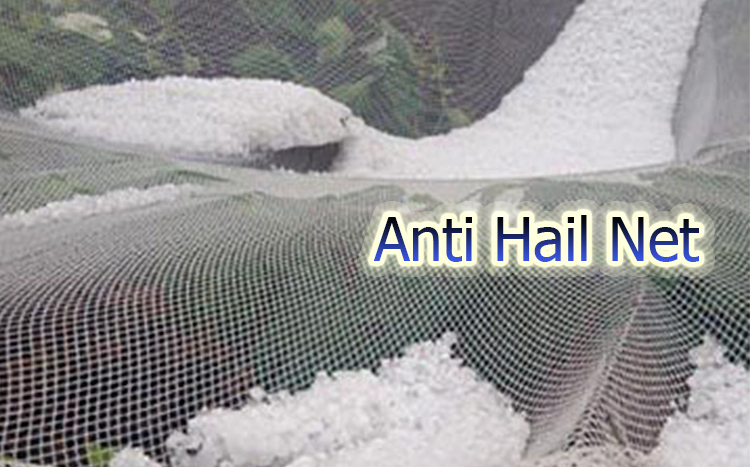 Ang Function ng Anti Hail Net