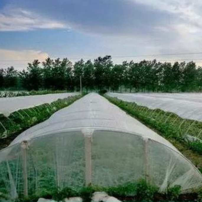 Ang poroblem na dapat bigyang pansin kapag nag-i-install ng insect-proof net