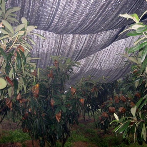 Ang Mga Benepisyo ng Shade Nets para sa Pagtatanim ng Gulay