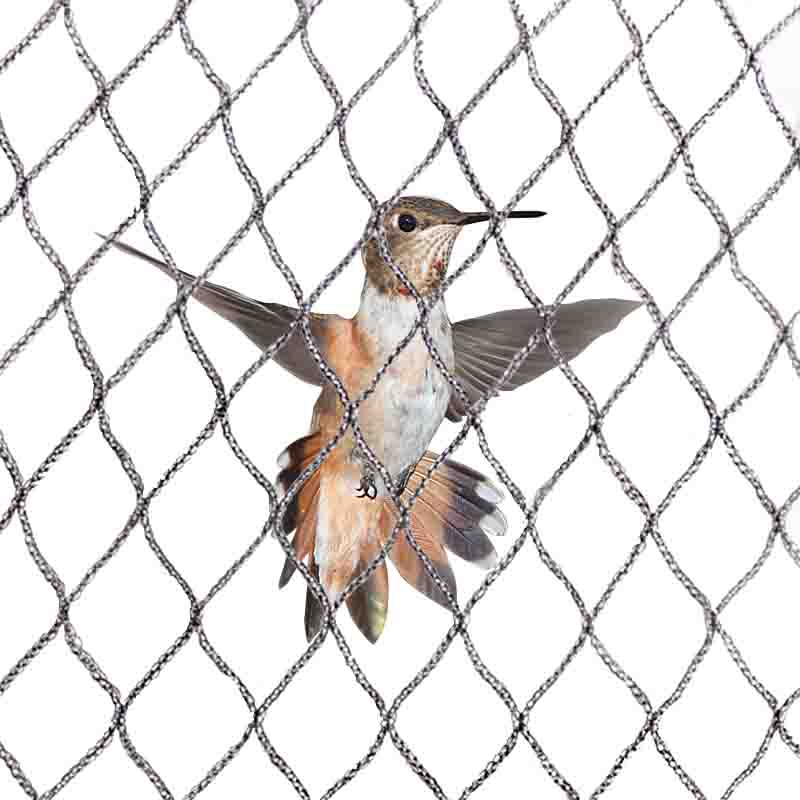 Paano pumili ng isang mababang gastos at epektibong anti-bird net?