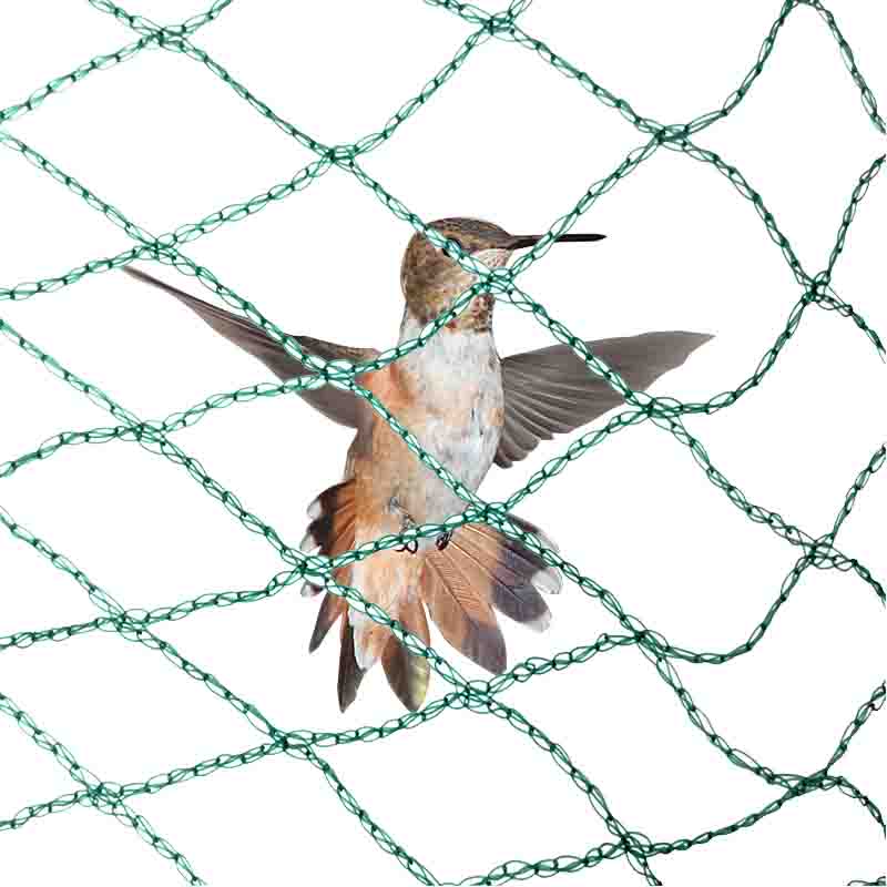 Ano ang pakinabang ng anti-bird net?