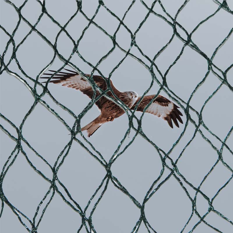 Ano ang mga materyal na pagpipilian at mga pakinabang at disadvantages ng mga lambat sa pag-iwas sa ibon?