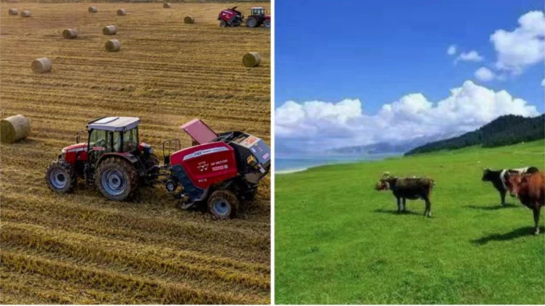 Ang aplikasyon ng bale net wrap sa mga gawaing pang-agrikultura