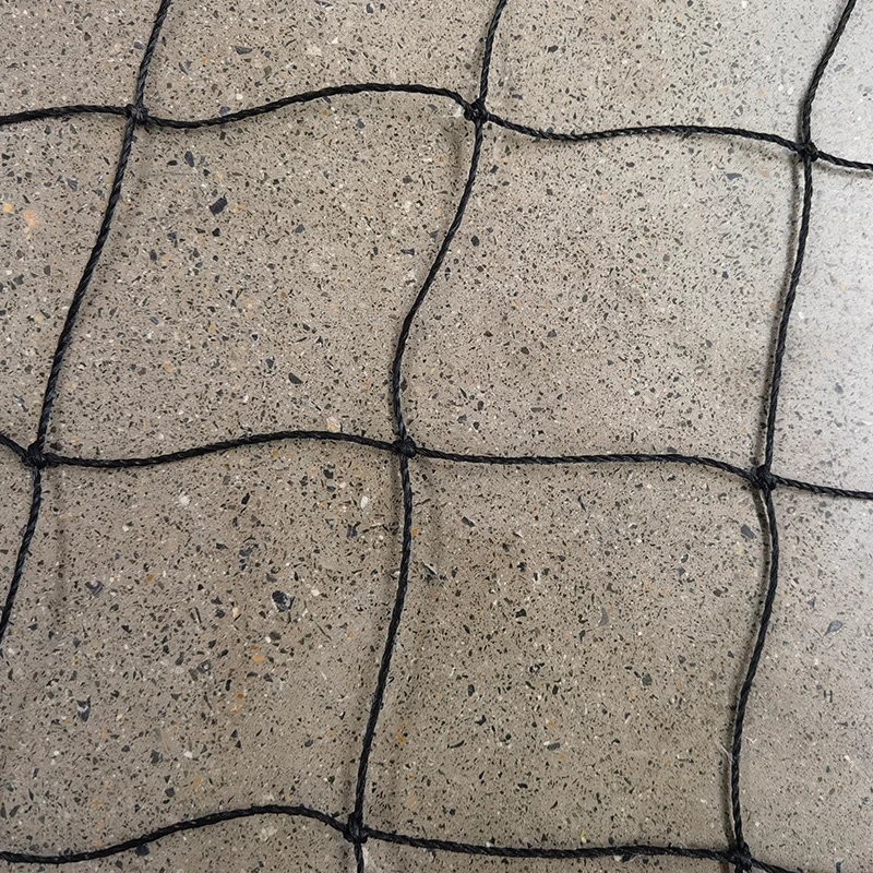 Ang papel ng mga lambat ng kuliglig