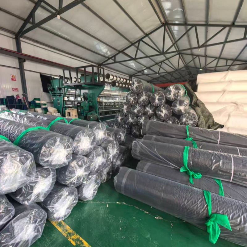Double Plastic: Nagpapakita ng Malakas na Lakas ang Eksena sa Pagpapadala ng Busy Cargo Shipping