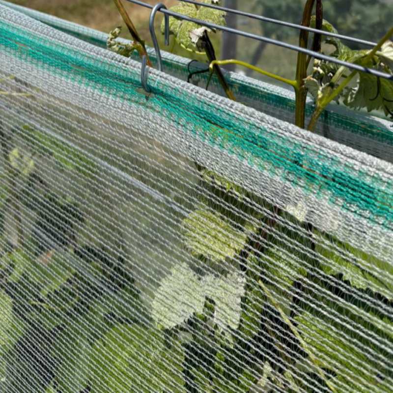 Pang-agrikultura HDPE Anti-Hail Netting Pang-agrikultura HDPE Anti-Hail Netting