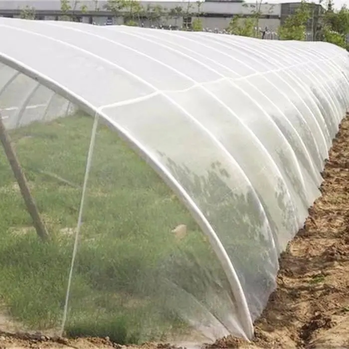 Agriculture Insect Net para sa Tunnel Farming