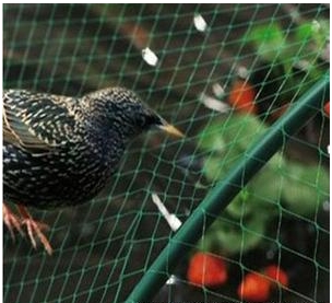 Anti Bird Net Para sa Balkonahe