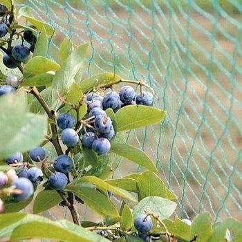 Anti Bird Protection Net