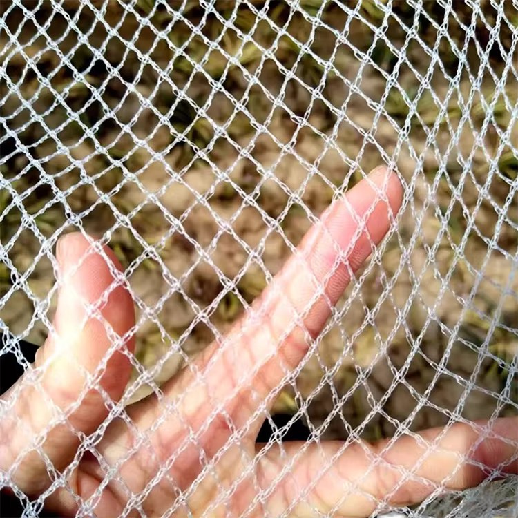 Anti-Hail Polyethylene Bird Protection Netting na may Plastic Mesh Custom Cut para sa Agrikultura