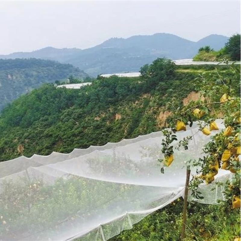 Anti Hail Protection Nets para sa Mga Puno ng Apple
