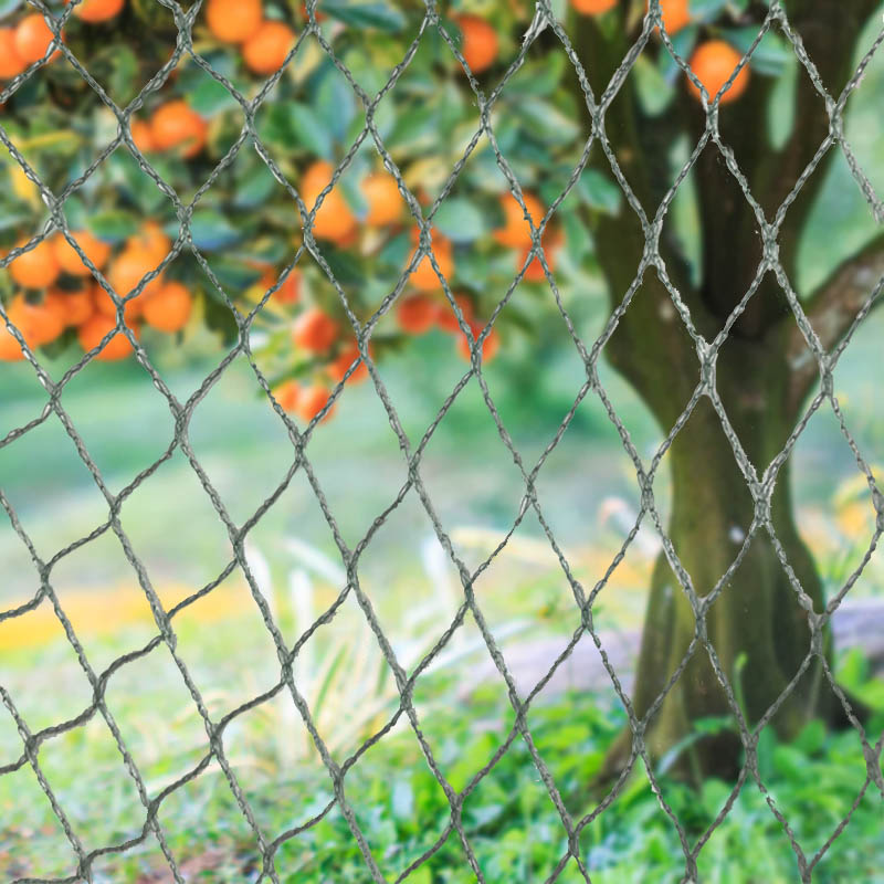 Bird Netting Animal Barriers