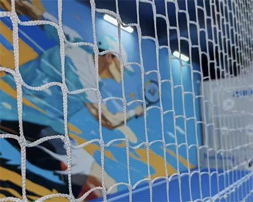 UV-Resistant at Impact-Resistant Sports Net