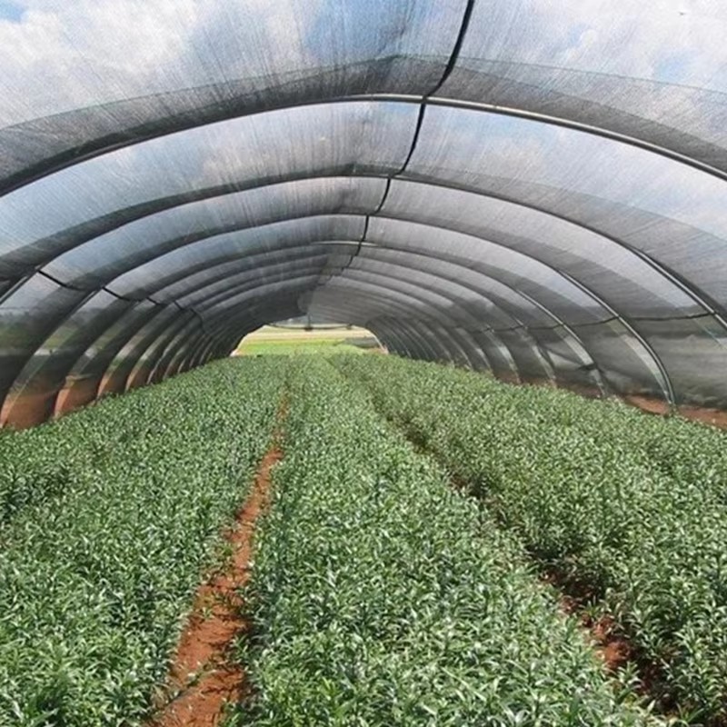 Garden Shade Cloth Para sa Mga Halaman 40% Na-block ang Sunshine