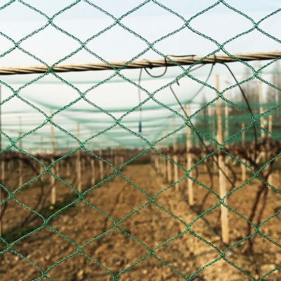 Greenhouse Anti-bird Net