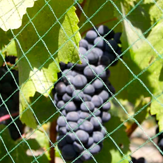 Vineyard Bird Netting